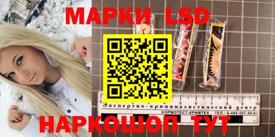 apvp Кунгур