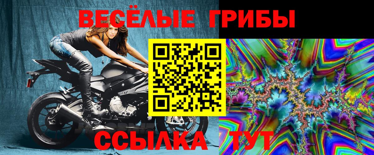 Галлюциногенные грибы Psilocybine cubensis  Вход с VPN  Каменск-Шахтинский 